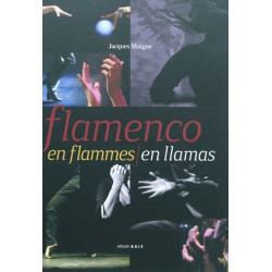 Flamenco en flammes /...