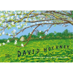 David Hockney : the arrival...