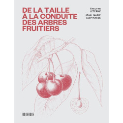 De la taille à la conduite...