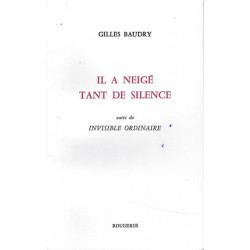 Il a neigé tant de silence