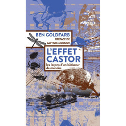 L'effet castor : Les leçons...