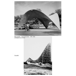 L'intelligence de la forme...