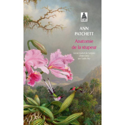 Anatomie de la stupeur