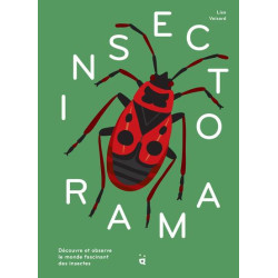 Insectorama : découvre et...