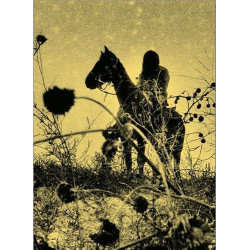 Simon Vansteenwinckel Aux...