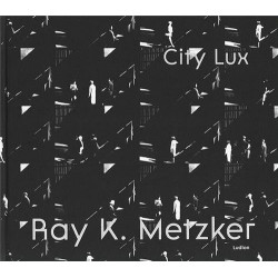 Ray k. metzker : city lux...