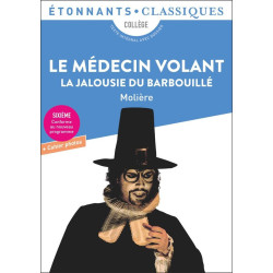 Le Médecin volant - La...