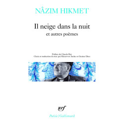 Il neige dans la nuit et...
