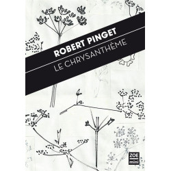 Le chrysanthème