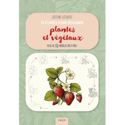 10 étapes pour dessiner...